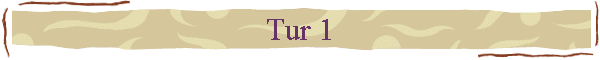 Tur 1