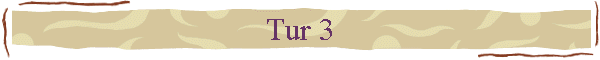 Tur 3